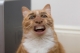 Current Avatar